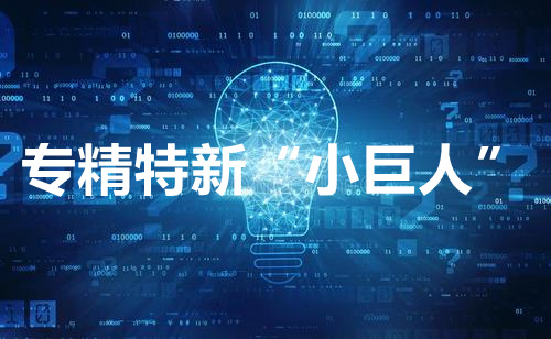湖南：讓專精特新“小巨人”插上數(shù)字化翅膀 開啟發(fā)展“新引擎”
