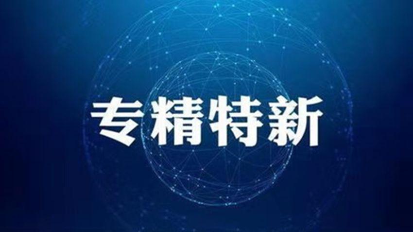 湖南株洲：80家企業(yè)有望“長(zhǎng)”成專精特新省級(jí)“小巨人”
