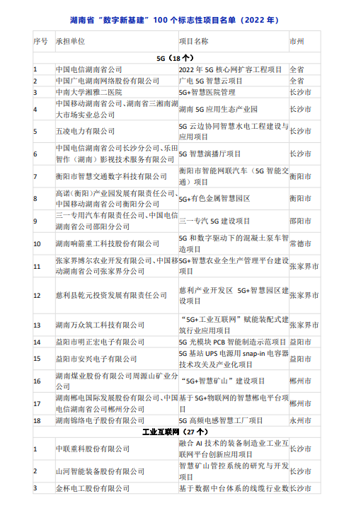 湖南“數(shù)字新基建”100個標志性項目發(fā)布 長沙50個項目入選