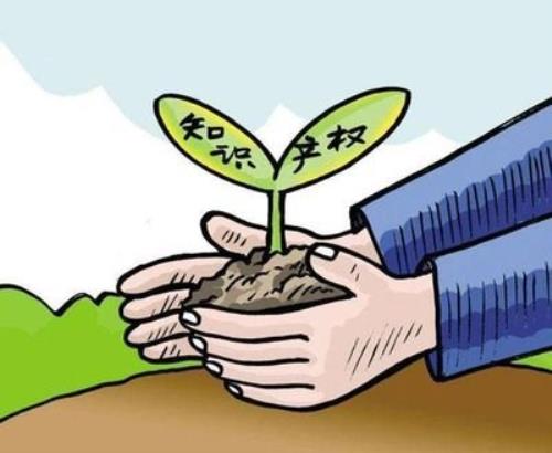 如何落實“十四五”規(guī)劃里的高價值專利目標？申局長回應