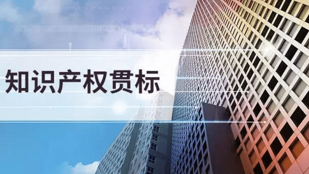 什么是知識(shí)產(chǎn)權(quán)貫標(biāo)(企業(yè)完成知識(shí)產(chǎn)權(quán)貫標(biāo)有什么價(jià)值)