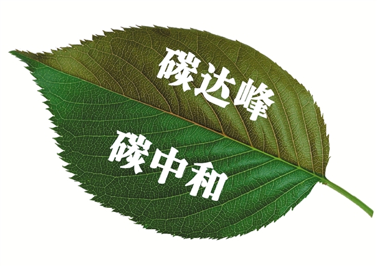 長(zhǎng)沙市政府印發(fā)《長(zhǎng)沙市碳達(dá)峰實(shí)施方案》 培育壯大人工智能等產(chǎn)業(yè)集群