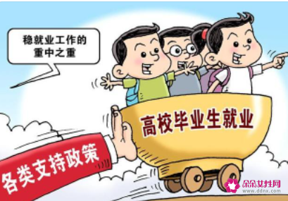 政府推出就業(yè)補(bǔ)貼政策，促進(jìn)企業(yè)吸納高校畢業(yè)生就業(yè)
