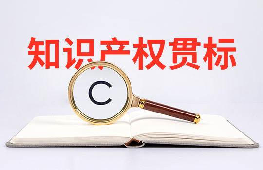 什么是知識產(chǎn)權(quán)貫標(企業(yè)完成知識產(chǎn)權(quán)貫標有什么價值)