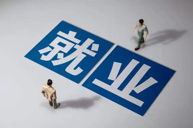 政府推出就業(yè)補貼政策，促進企業(yè)吸納高校畢業(yè)生就業(yè)