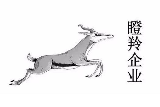 【瞪羚企業(yè)】長沙市關(guān)于加快培育獨角獸、瞪羚企業(yè)的實施方案(試行)
