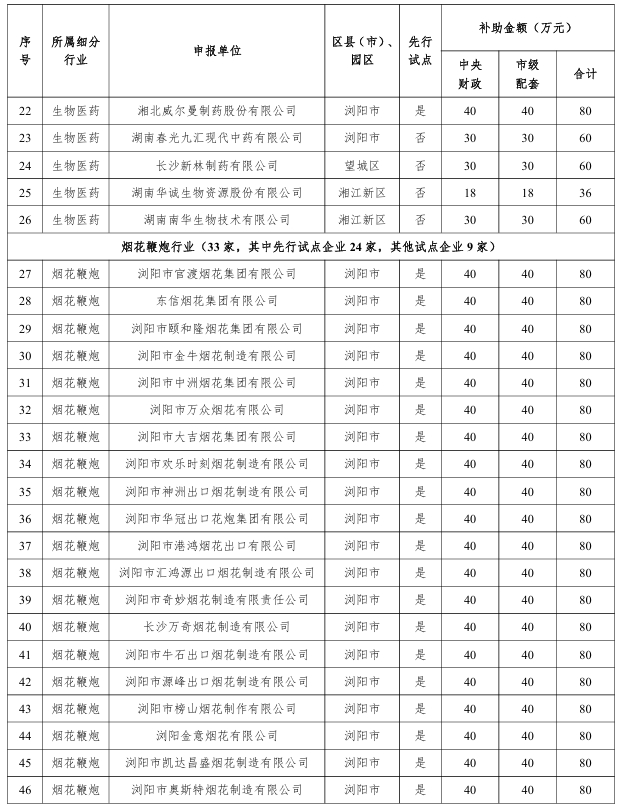 【項(xiàng)目公示】關(guān)于長沙市中小企業(yè)數(shù)字化轉(zhuǎn)型城市試點(diǎn)首批試點(diǎn)補(bǔ)助項(xiàng)目的公示